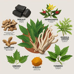 Cápsulas 8 en 1 - Shilajit Ashwagandha + Envio Gratis